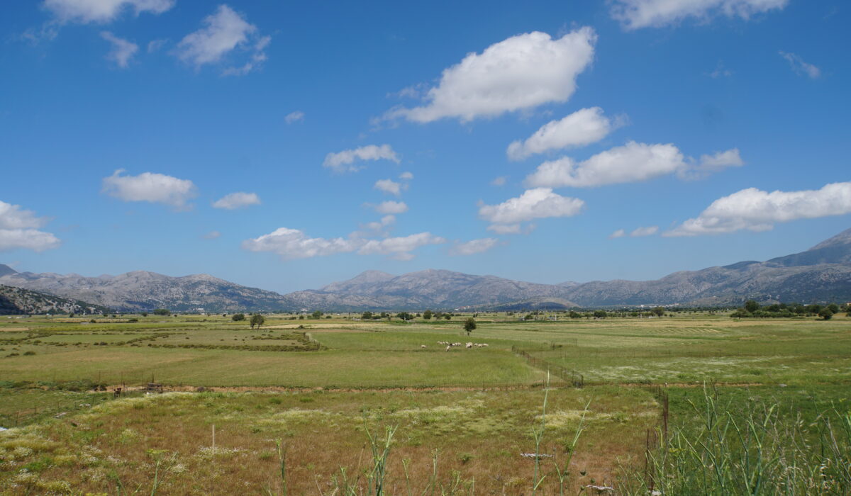 Lasithi Hochebene