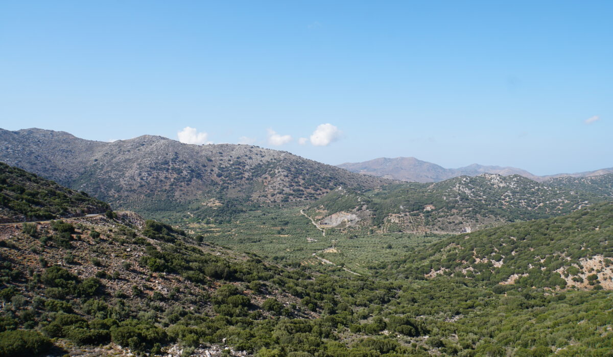 DSC08405