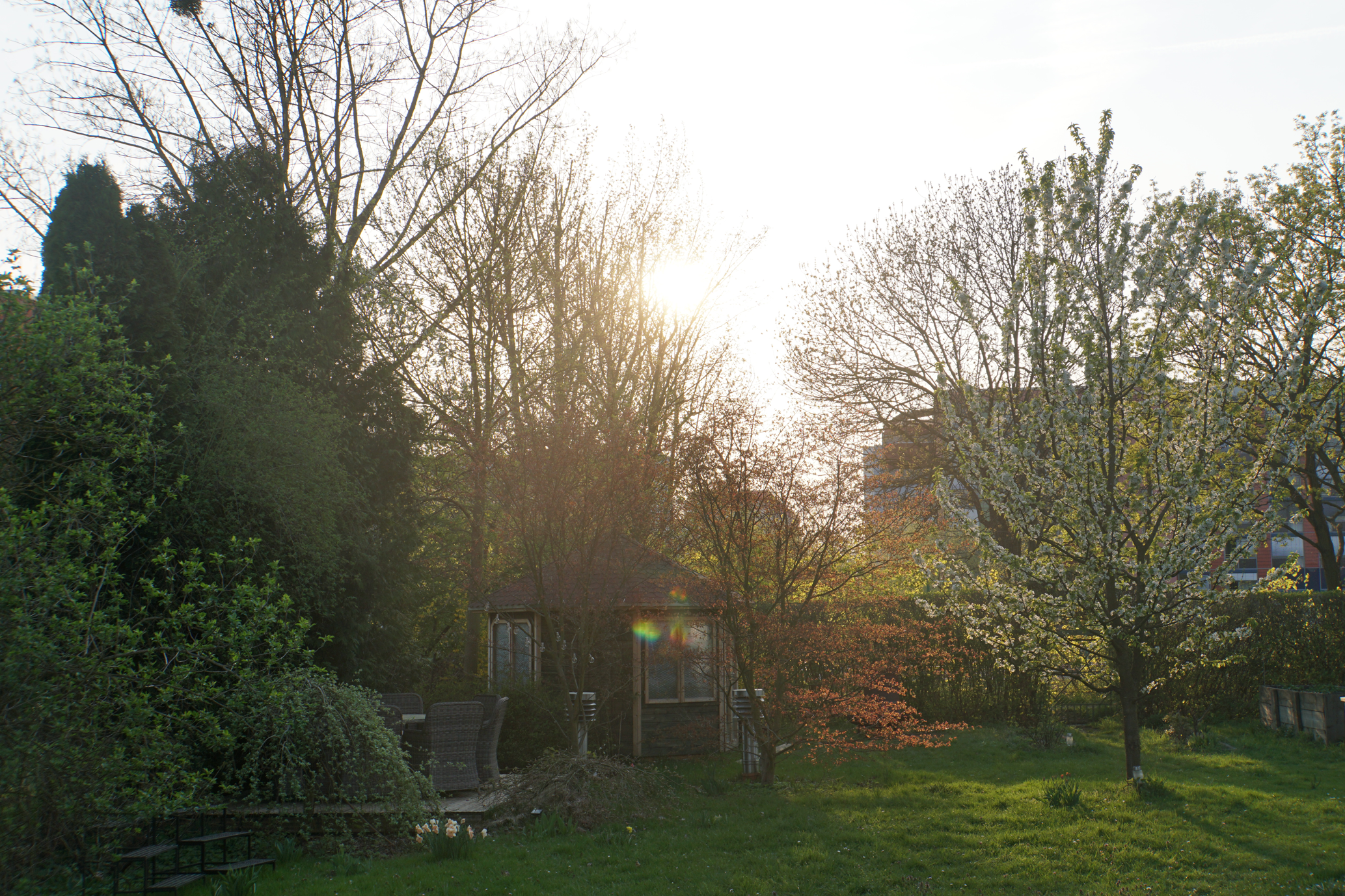 unser Garten in der Sonne