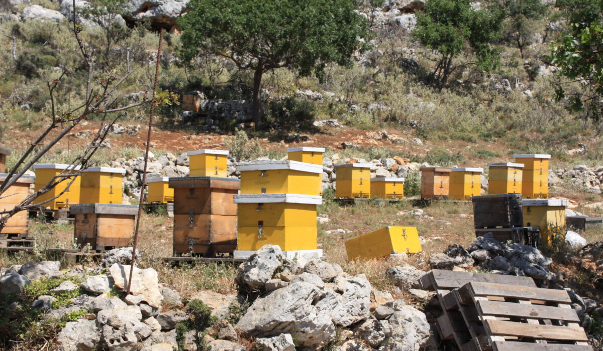 Bienenkörbe