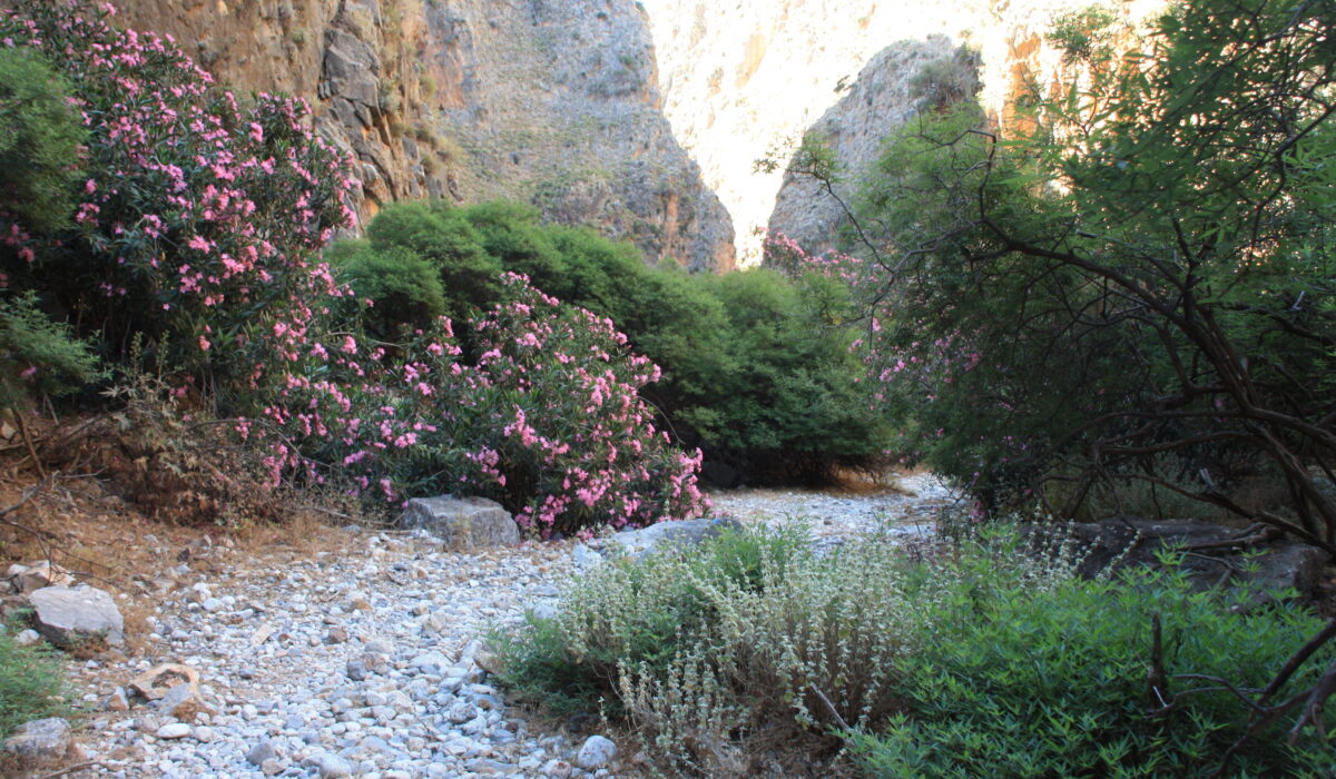 Aradena-Schlucht