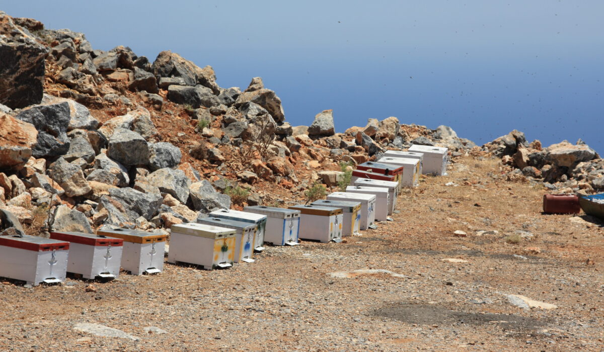 Bienenkästen auf den Wanderweg nach Loutro