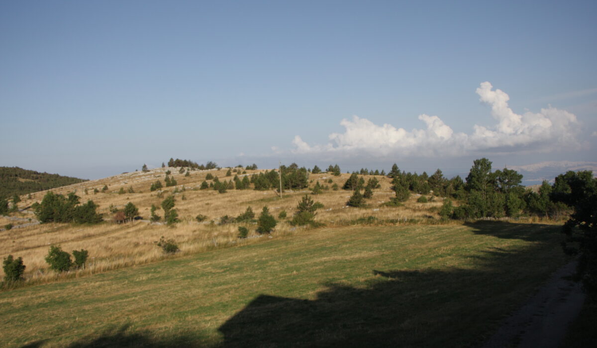Feld vor unserem Bungalow