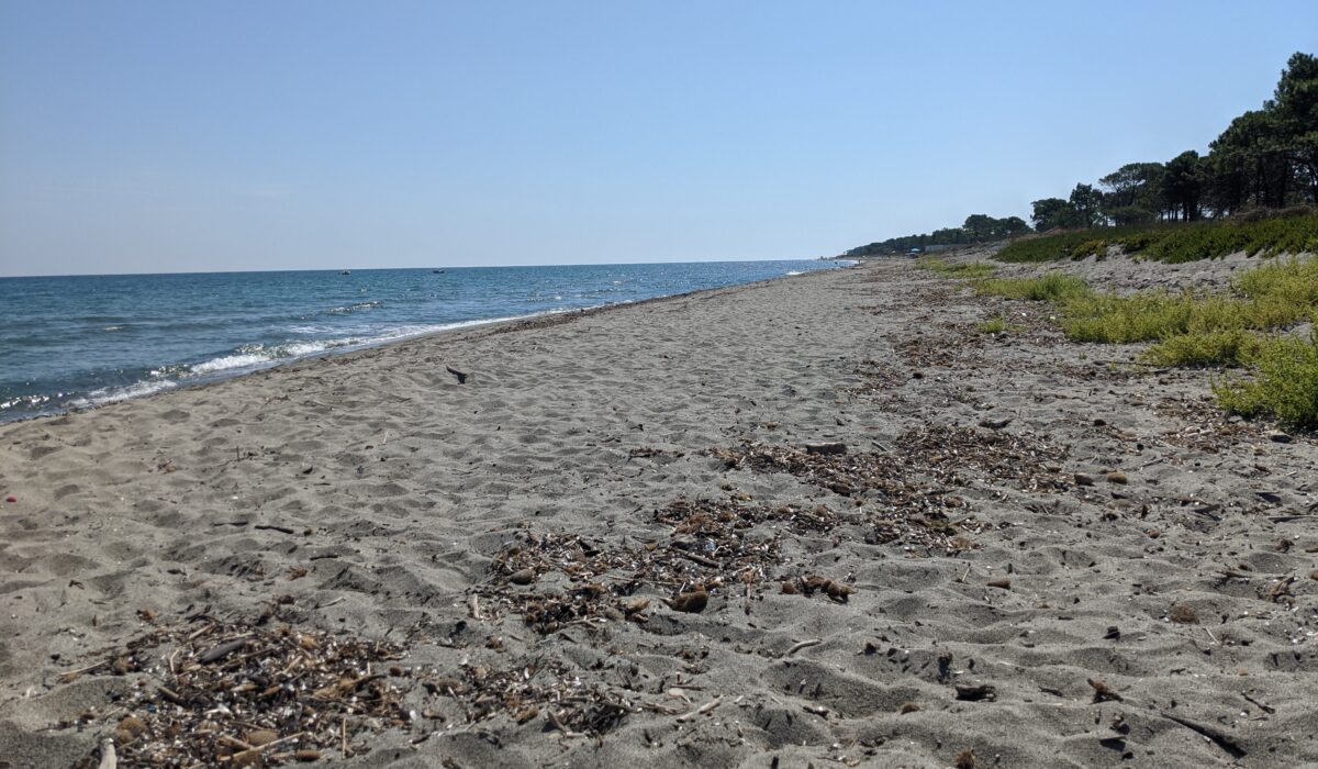 wir liegen faul am einem leeren Sandstrand