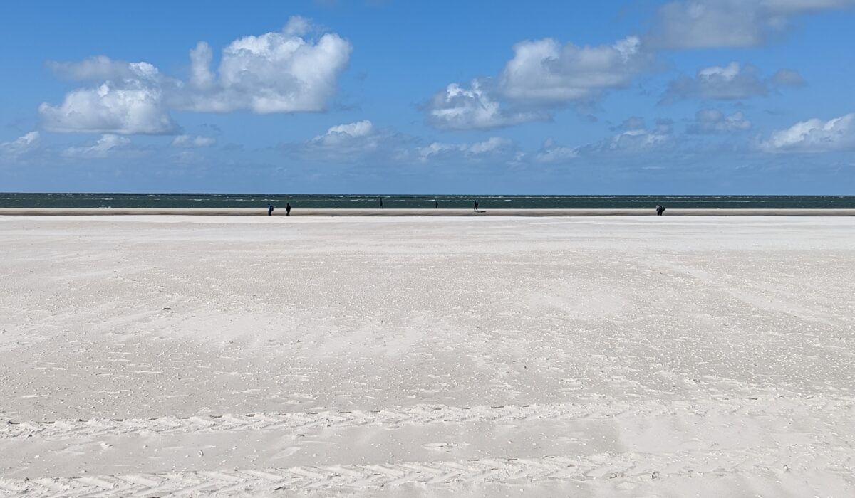PXL_20230429_125805486