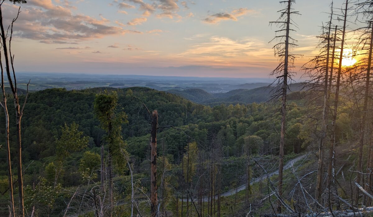 Blick in den Harz