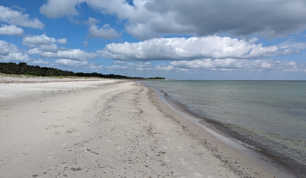 PXL_20240605_093626081