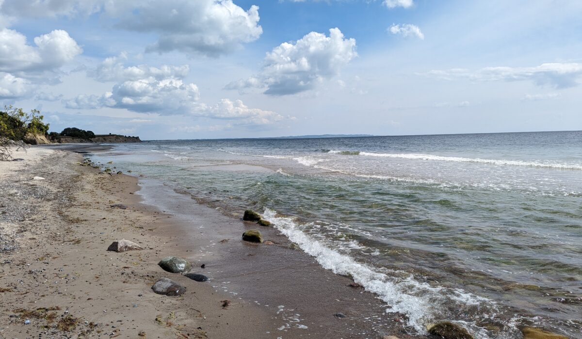 PXL_20240606_093051544