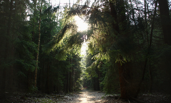 Wanderweg