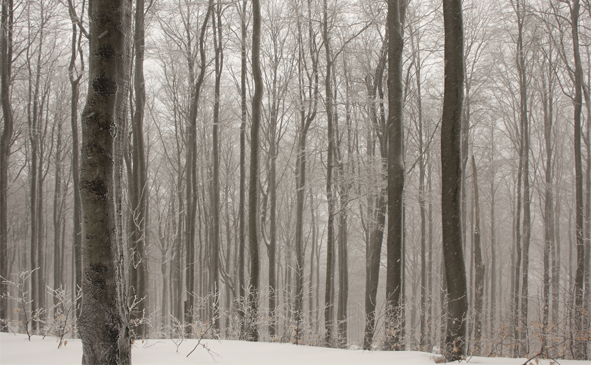 Wandern 2013