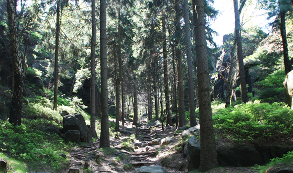 Wanderweg