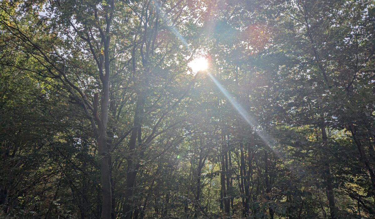 PXL_20240908_074511920