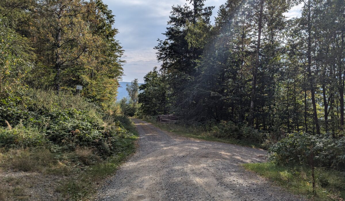 PXL_20240908_082655529
