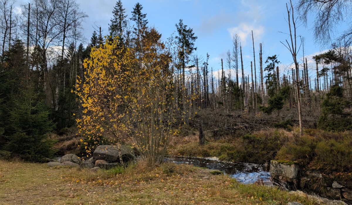 PXL_20251030_140757382