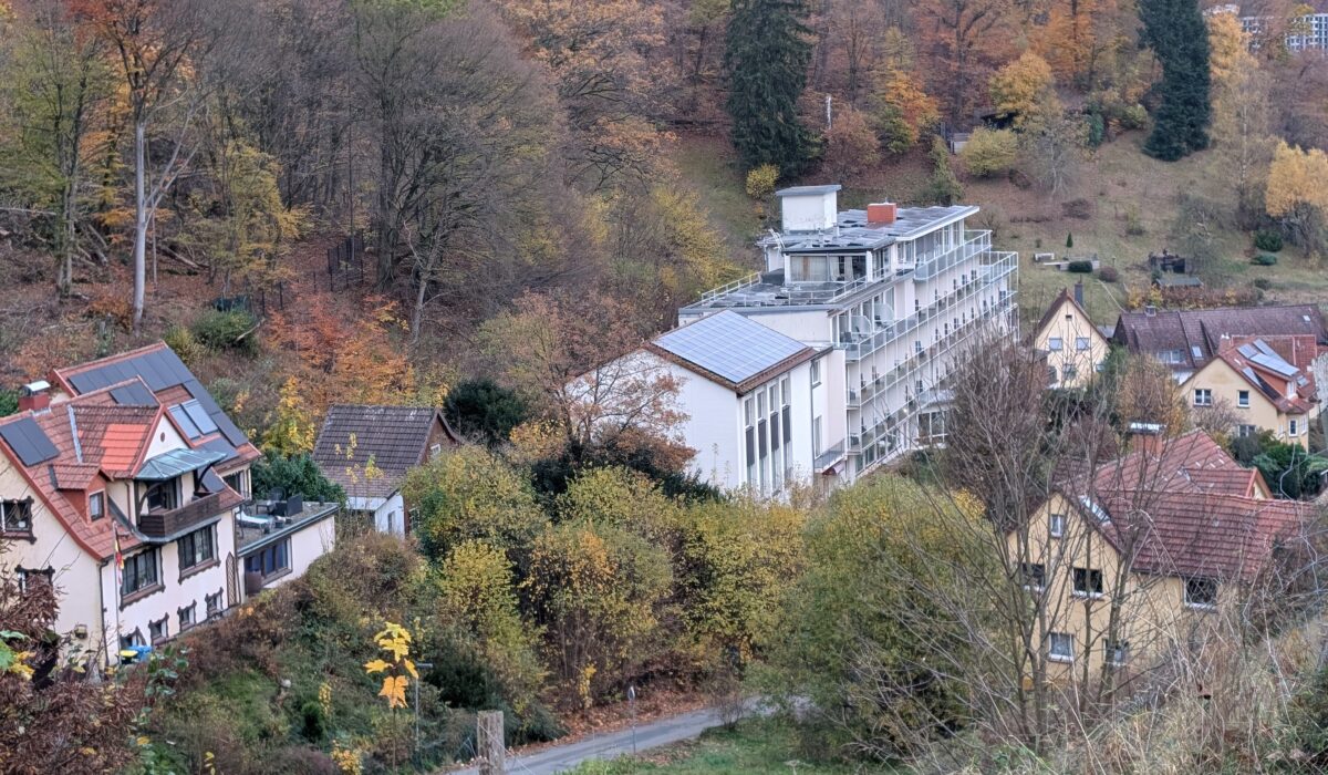 PXL_20251031_151028937
